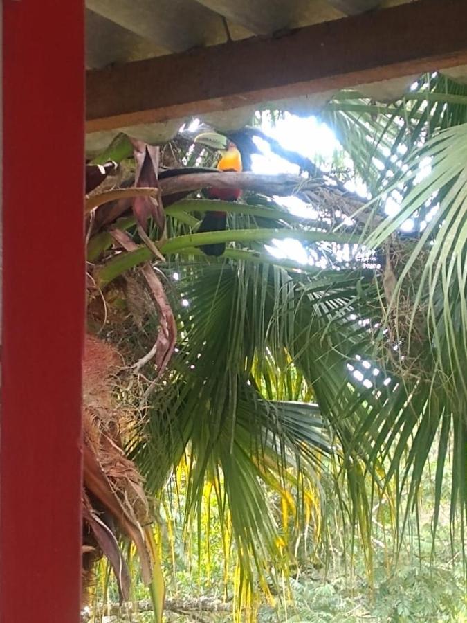 Pousada Recanto Águas Vivas Turvo dos Gois Exterior foto