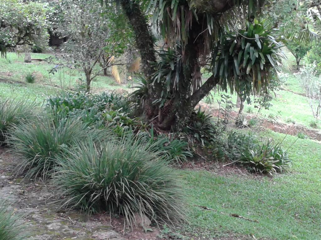 Pousada Recanto Águas Vivas Turvo dos Gois Exterior foto